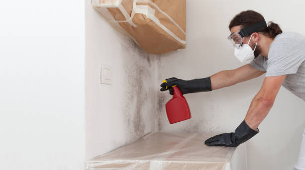 Professional Attic Mold Removal technician working in Martinsville, VA