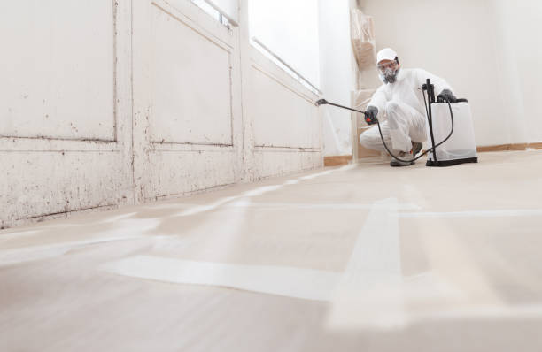 24/7 Emergency Attic Mold Removal experts in Martinsville, VA