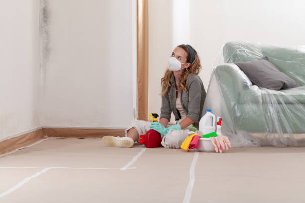 Trusted Black Mold Removal service in Martinsville, VA - Cheap Mold Removal